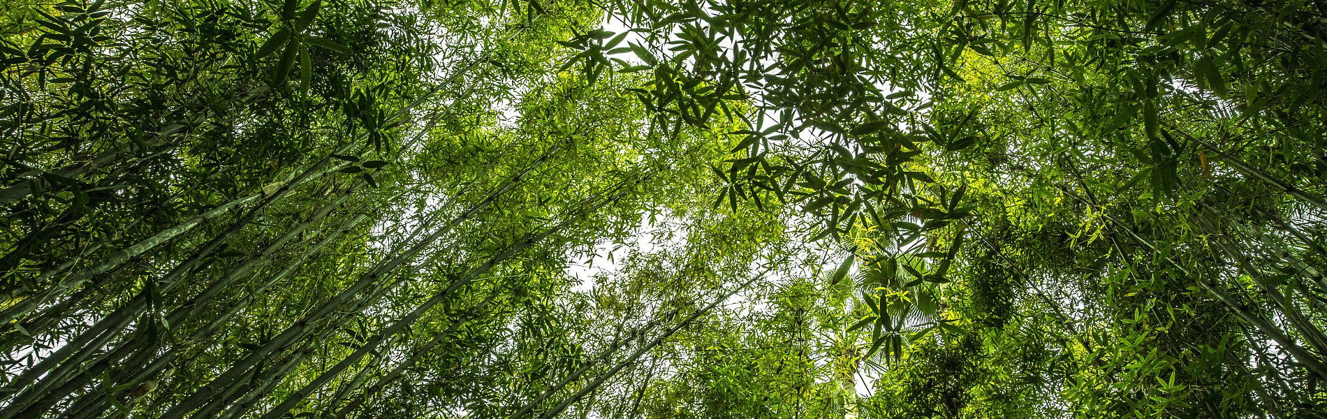 整体 愉和 平川